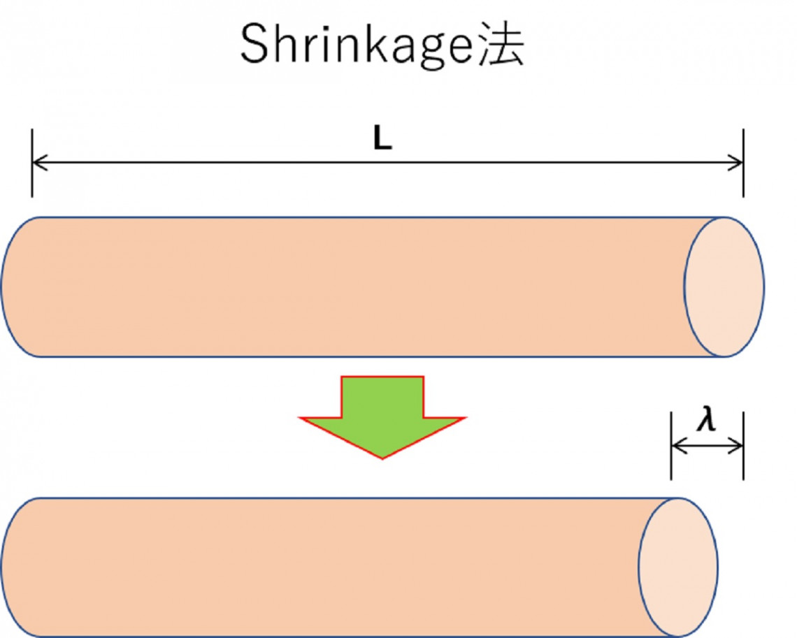 Shrinkage法 サムネ 1