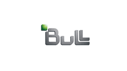 bull